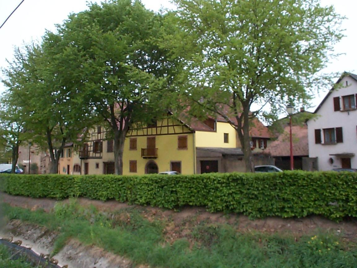 La Maison Jaune อัมเมอร์ชวีร์ ภายนอก รูปภาพ